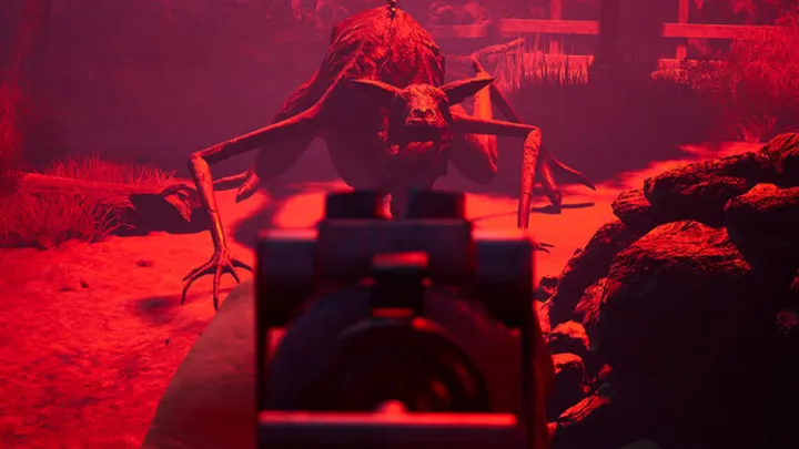 Zoochosis: A Deep Dive into Behavioral Breakdown in the Game